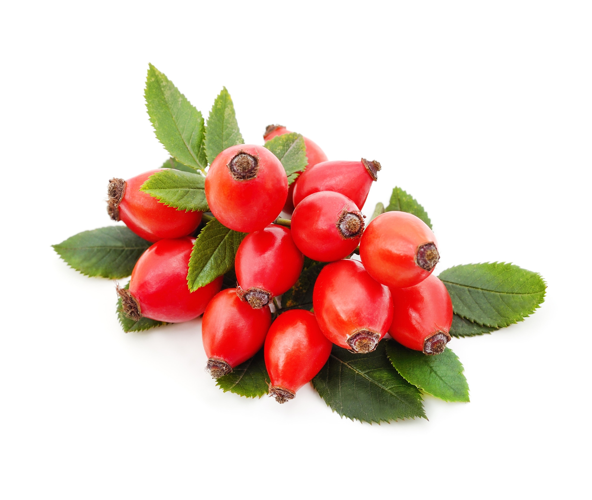 Ingredient: Rosehip fruit juice